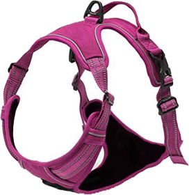 Venture Paw Harness (Color: Wild Raspberry, size: small)